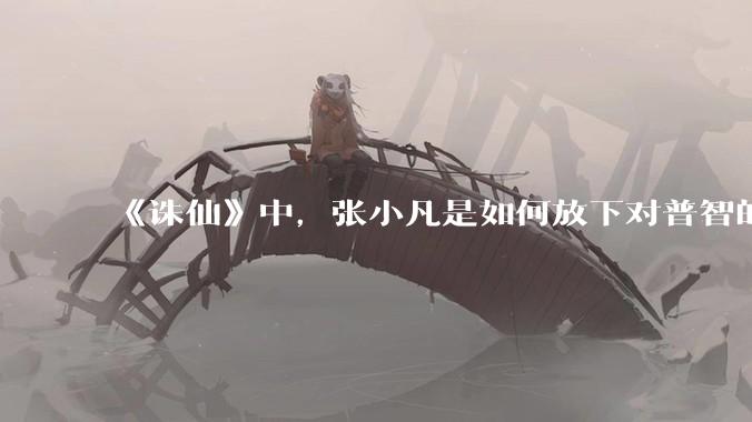 《诛仙》中，张小凡是如何放下对普智的恨意的？