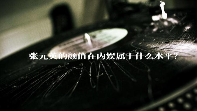 张元英的颜值在内娱属于什么水平？